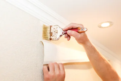 Pose de papier peint à Dornas — revêtements muraux et toiles de verre